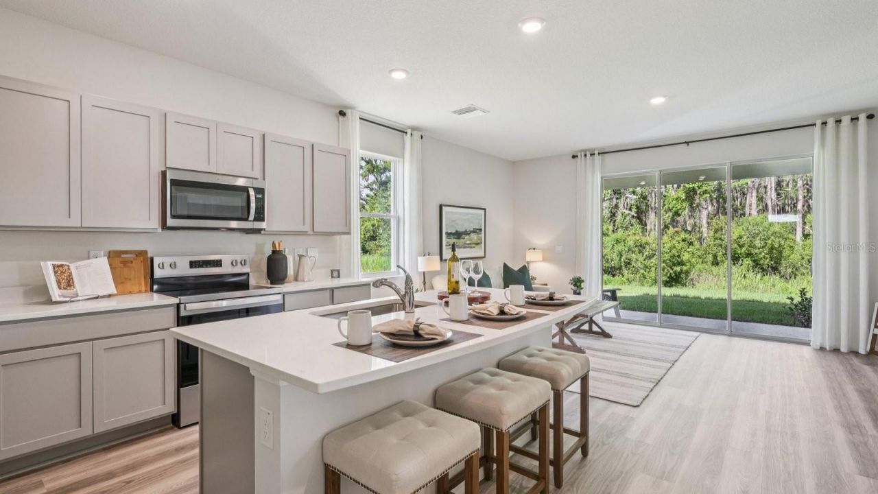 17607 Spanish Oak Loop , Land O Lakes, FL 34638 Photo