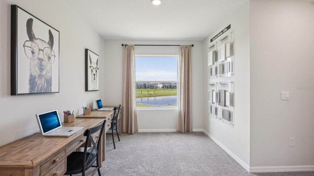 17607 Spanish Oak Loop , Land O Lakes, FL 34638 Photo