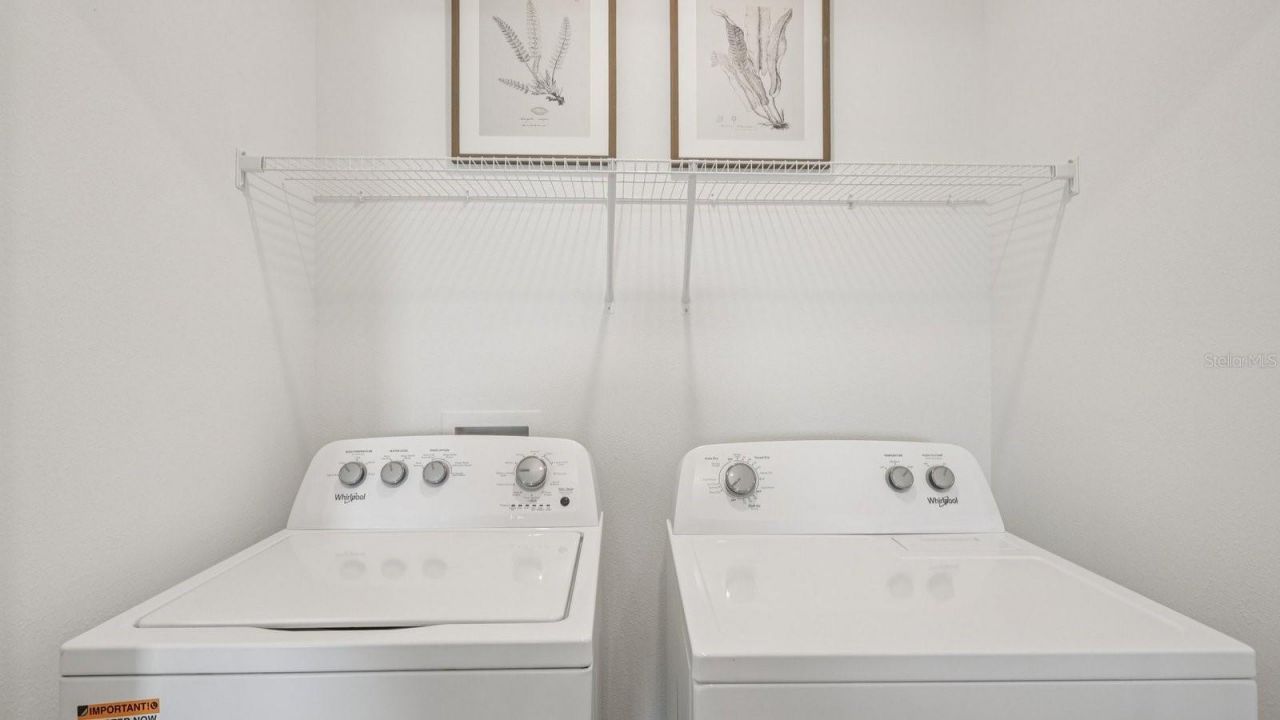 17607 Spanish Oak Loop , Land O Lakes, FL 34638 Photo