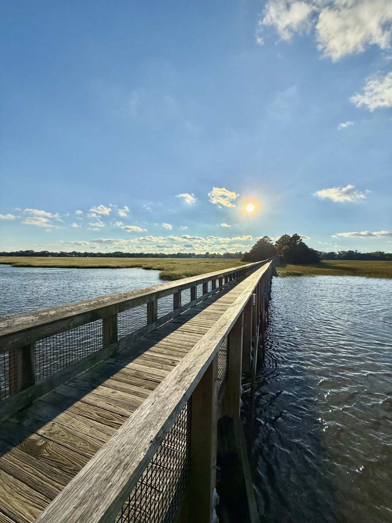 824 Burger Street Photo 7