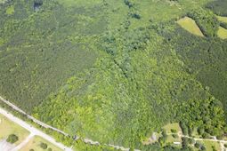 0000 Us Highway 76 photo 4