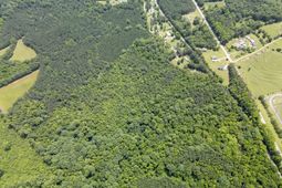 0000 Us Highway 76 photo 4