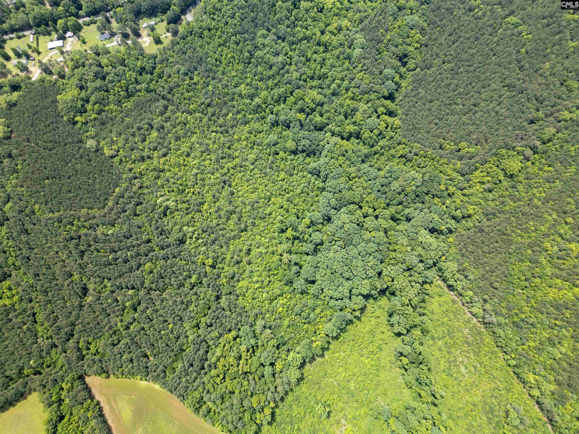 0000 Us Highway 76 Photo 5