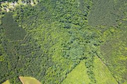 0000 Us Highway 76 photo 4