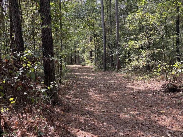 000 Avalon Road, Star City, AR 71667