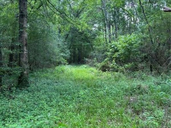 PASSMAN RD Road, Loranger, LA 70446