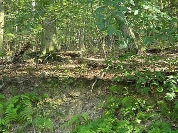 0 RIDGE ROAD, CUMBOLA, PA 17930