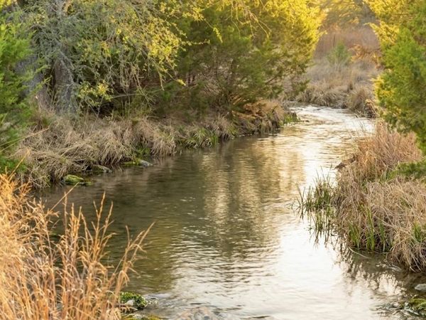 2227 Klein-Ahrens RD , Fredericksburg, TX 78624