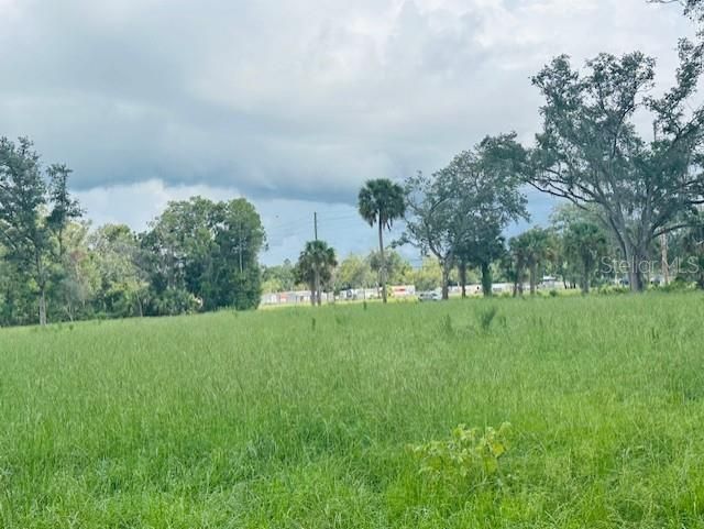 17450 SE Highway 19, Cross City, FL 32628 Photo