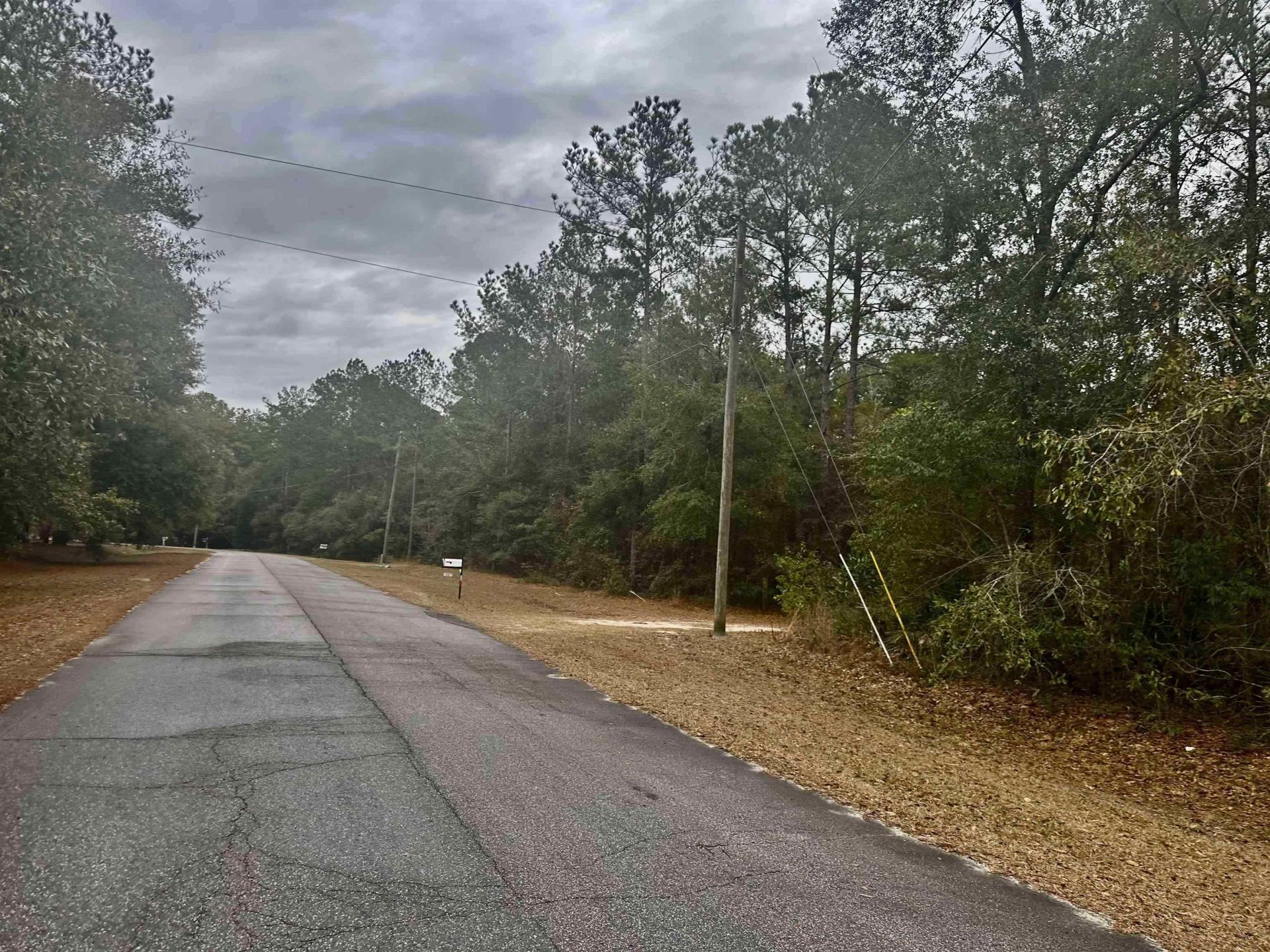 Xx Luther Hall Road, Tallahassee, FL 32310 Photo