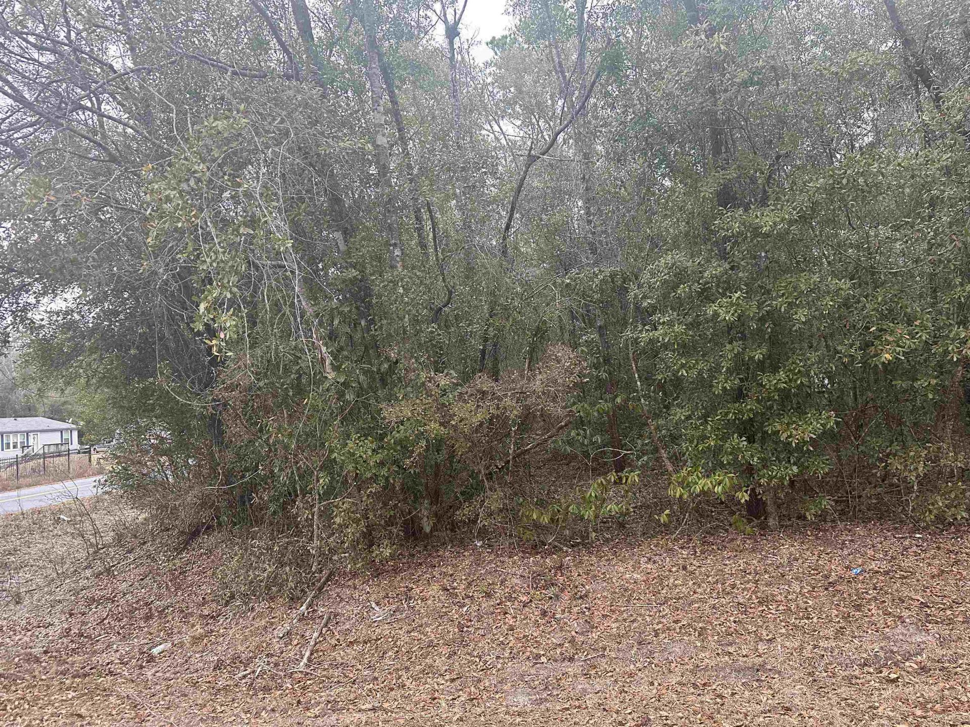 Xx Luther Hall Road, Tallahassee, FL 32310 Photo