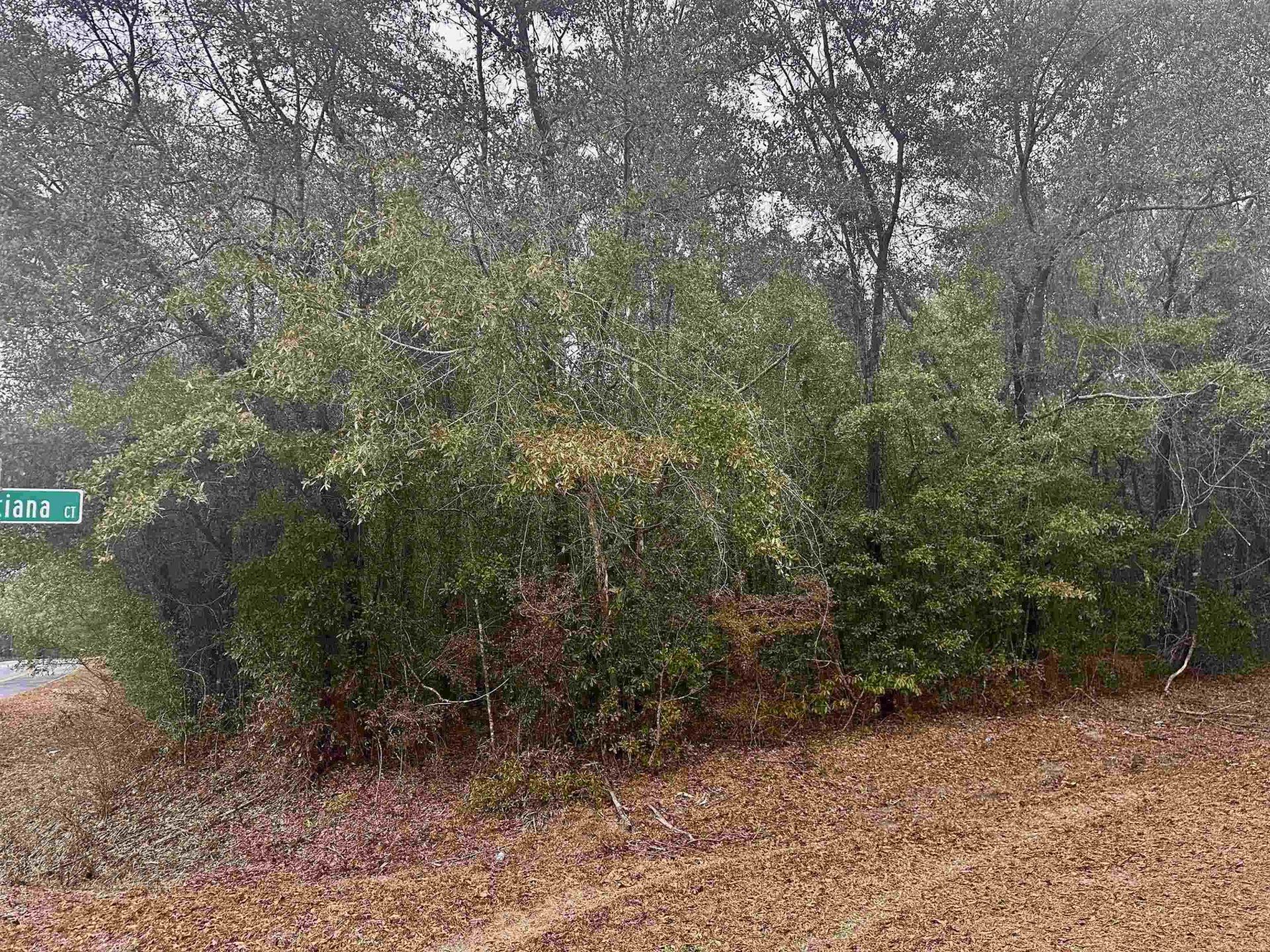 Xx Luther Hall Road, Tallahassee, FL 32310 Photo