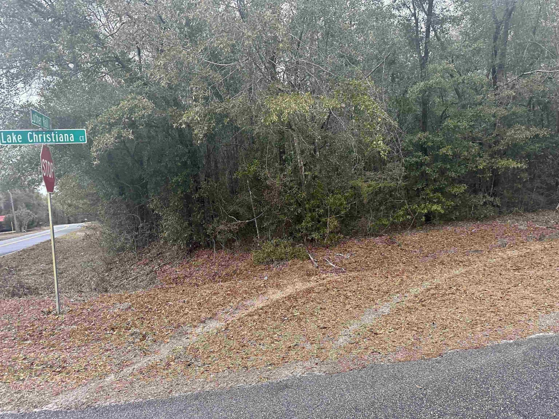 Xx Luther Hall Road, Tallahassee, FL 32310 Photo