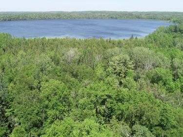 TBD Rush Island Lake Road, Deer River, MN 56636