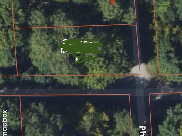 Lots 2-3 Pheasant Road, Lincoln, MI 48742