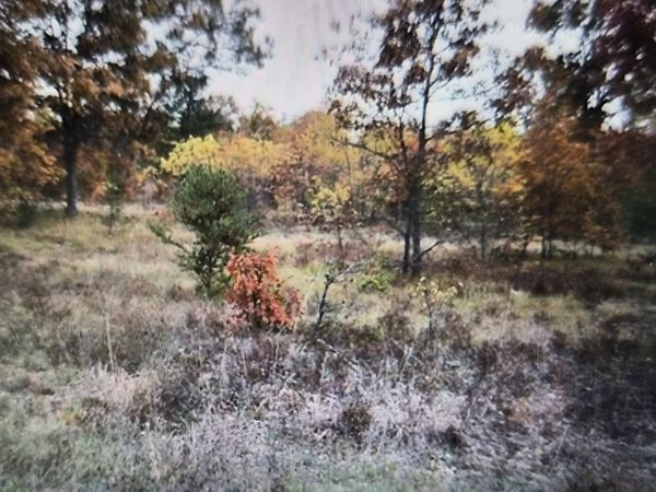Lot 24 Northwood Drive, Grayling, MI 49738