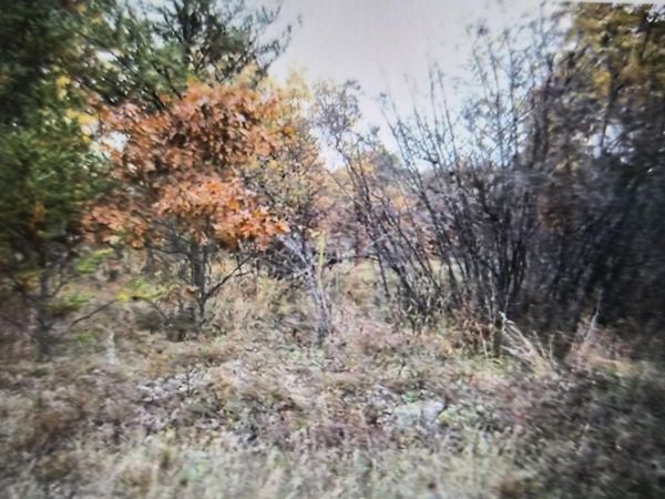 Lot 26 Northwood Drive, Grayling, MI 49738