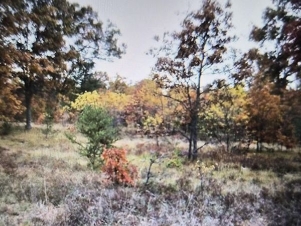 Lot 27 Northwood Drive, Grayling, MI 49738