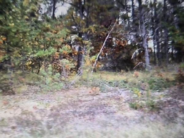 Lot 28 Northwood Drive, Grayling, MI 49738