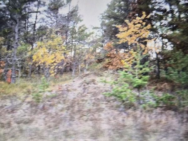 Lot 29 Northwood Drive, Grayling, MI 49738