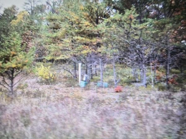 Lot 30 Northwood Drive, Grayling, MI 49738