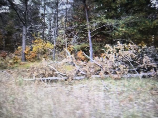 Lot 31 Northwood Drive, Grayling, MI 49738