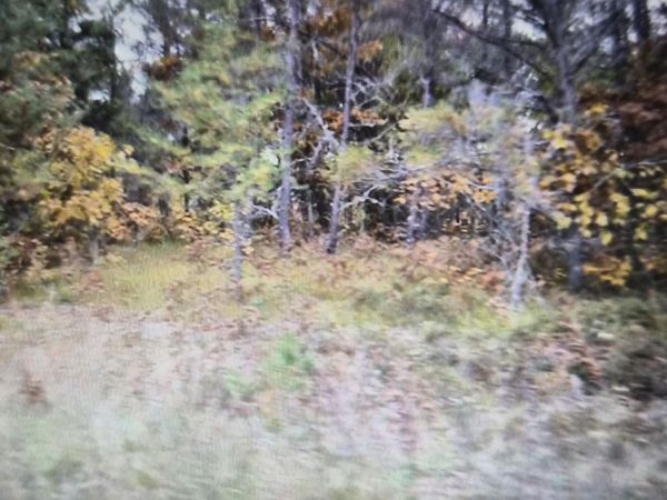 Lot 32 Northwood Drive, Grayling, MI 49738