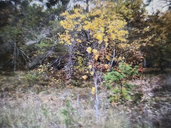 Lot 33 Northwood Drive, Grayling, MI 49738