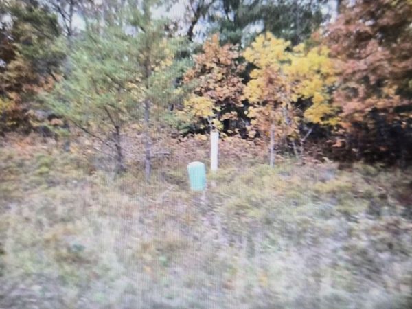 Lot 35 Northwood Drive, Grayling, MI 49738