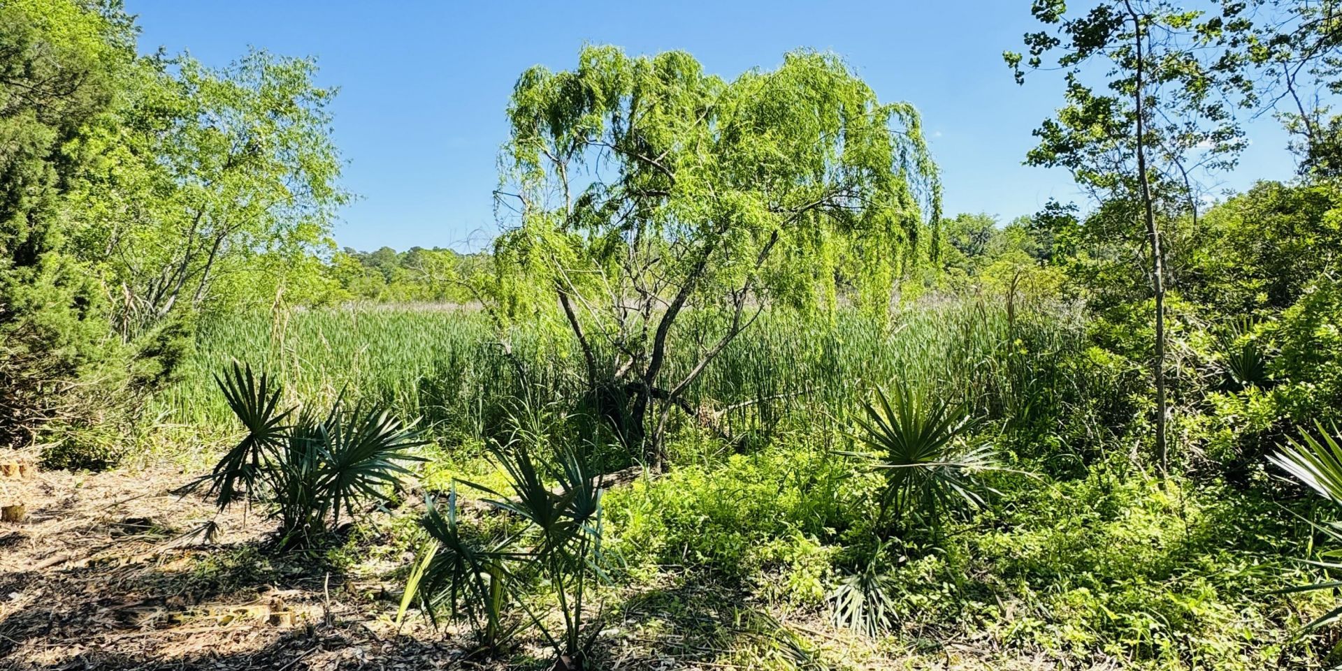 4865 Popperdam Creek Drive Photo 36