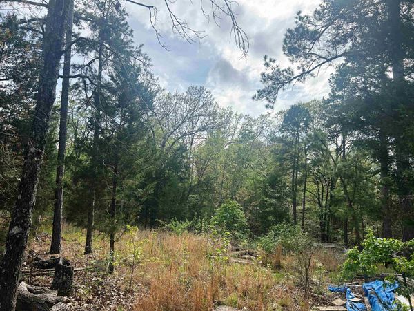 Block 55 Doe Run Circle, Glencoe, AR 72539