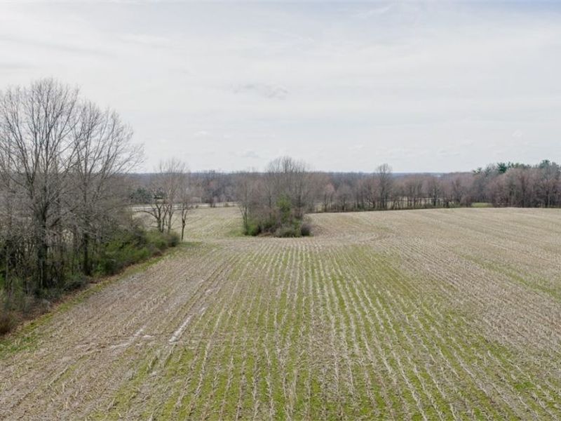 5006 S Canfield Niles Road, Canfield, OH 44406 Photo 15