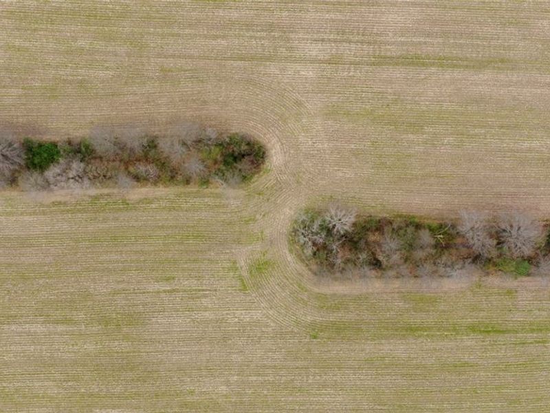 5006 S Canfield Niles Road, Canfield, OH 44406 Photo 9