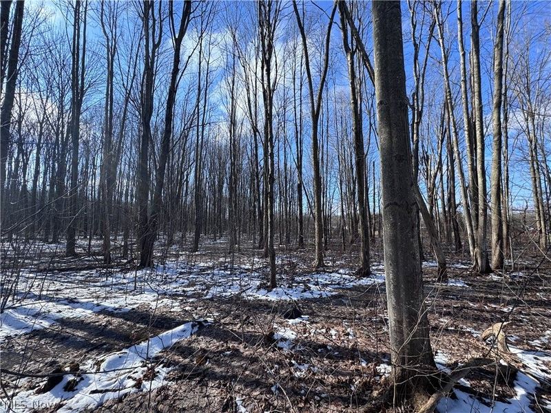 V/L 1 Leroy Center Road, Leroy, OH 44077 Photo 10