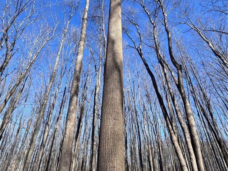 V/L 1 Leroy Center Road, Leroy, OH 44077 Photo 2