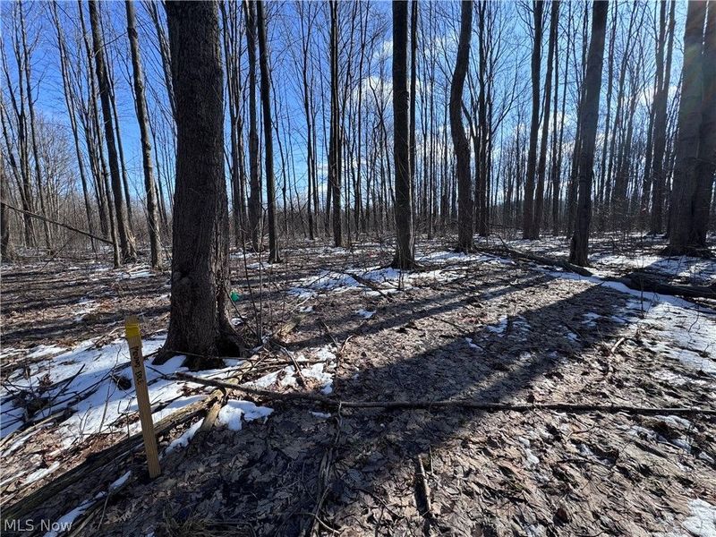 V/L 1 Leroy Center Road, Leroy, OH 44077 Photo 6