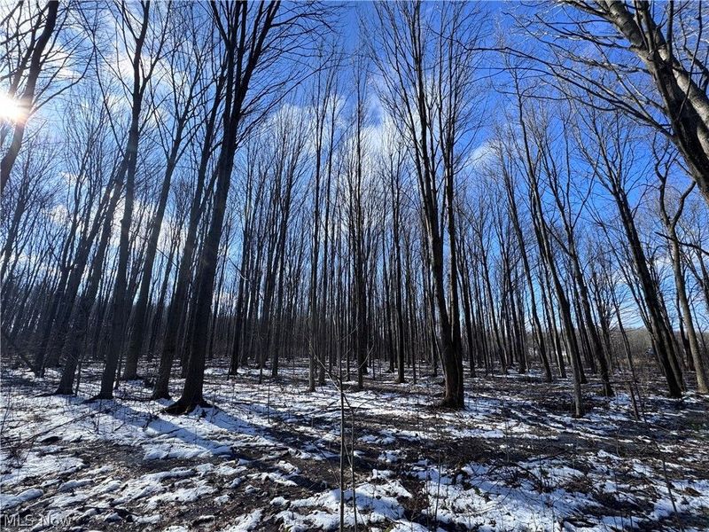 V/L 1 Leroy Center Road, Leroy, OH 44077 Photo 9