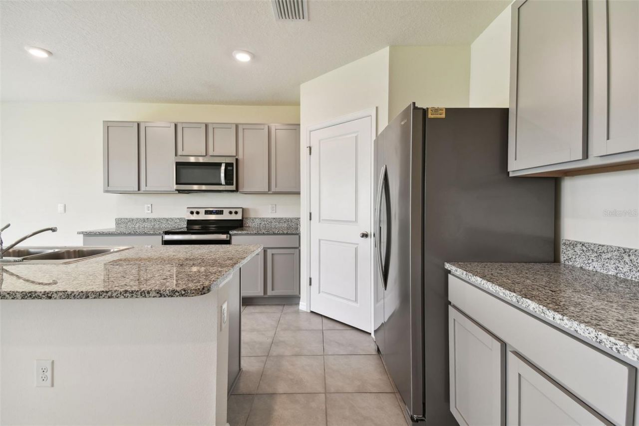 33405 Hamilton Hill Lane, Wesley Chapel, FL 33545 Photo