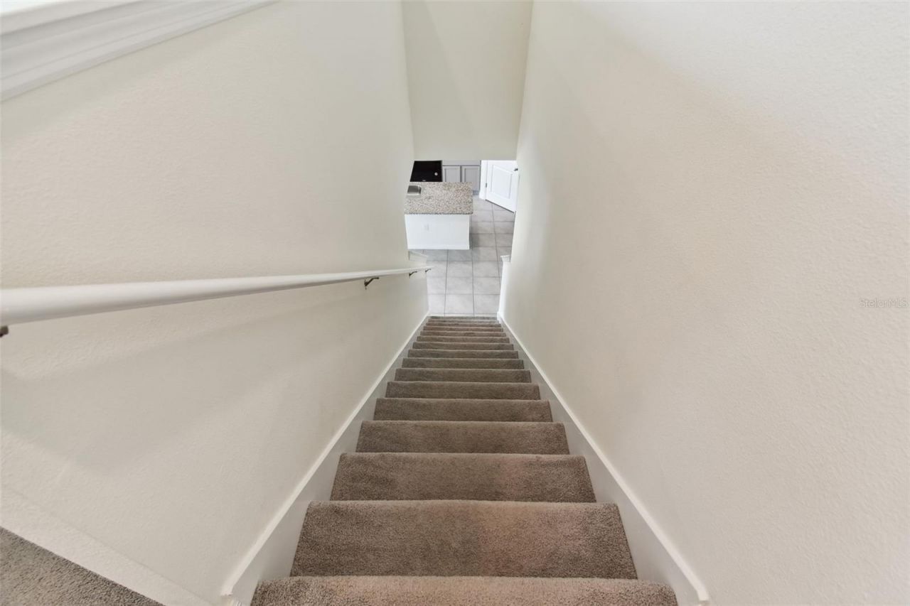 33405 Hamilton Hill Lane, Wesley Chapel, FL 33545 Photo