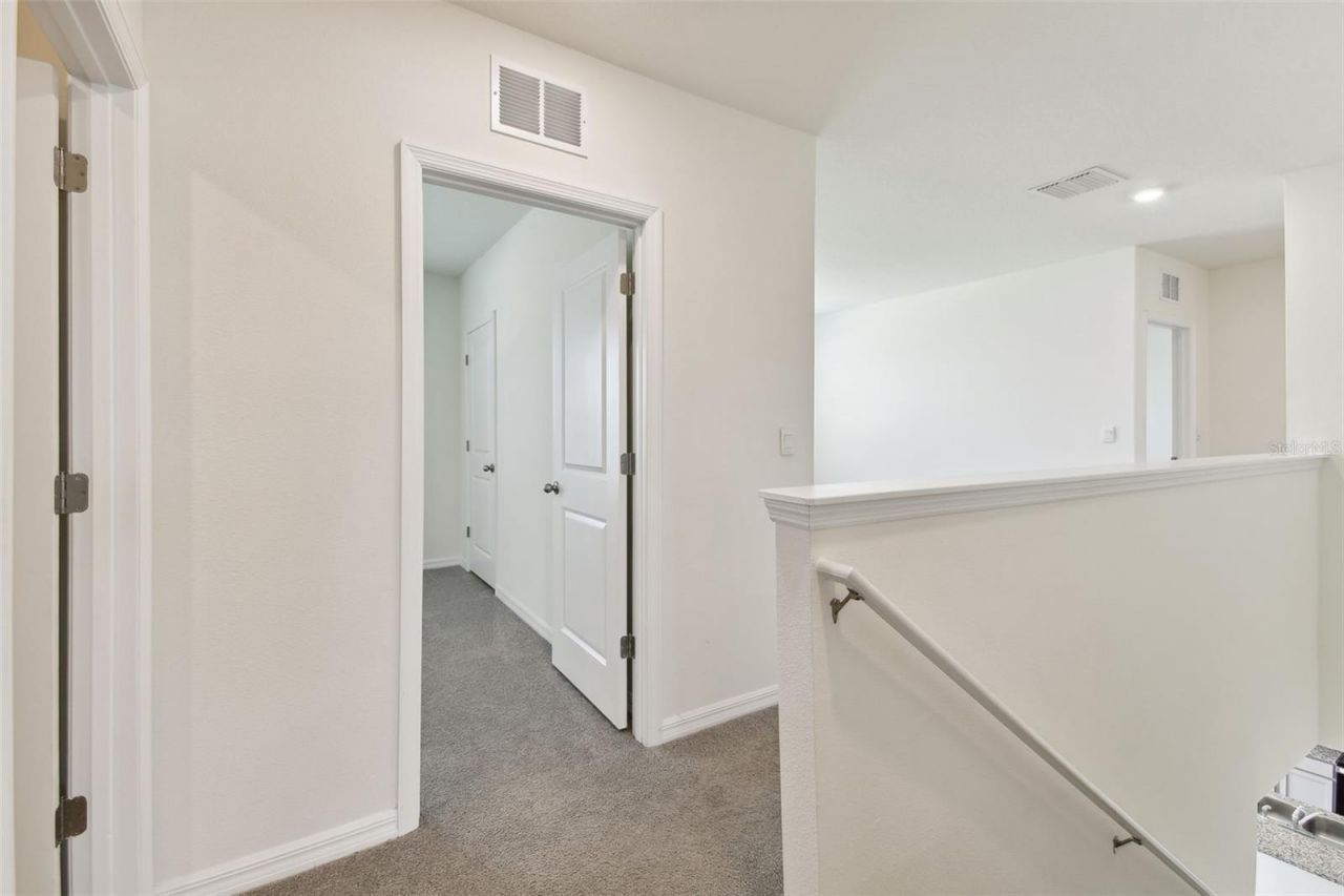 33405 Hamilton Hill Lane, Wesley Chapel, FL 33545 Photo