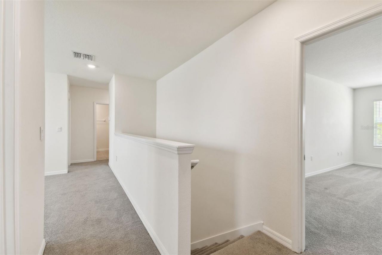 33405 Hamilton Hill Lane, Wesley Chapel, FL 33545 Photo