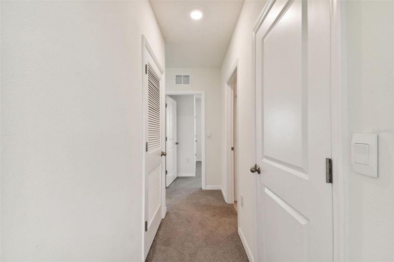 33405 Hamilton Hill Lane, Wesley Chapel, FL 33545 Photo