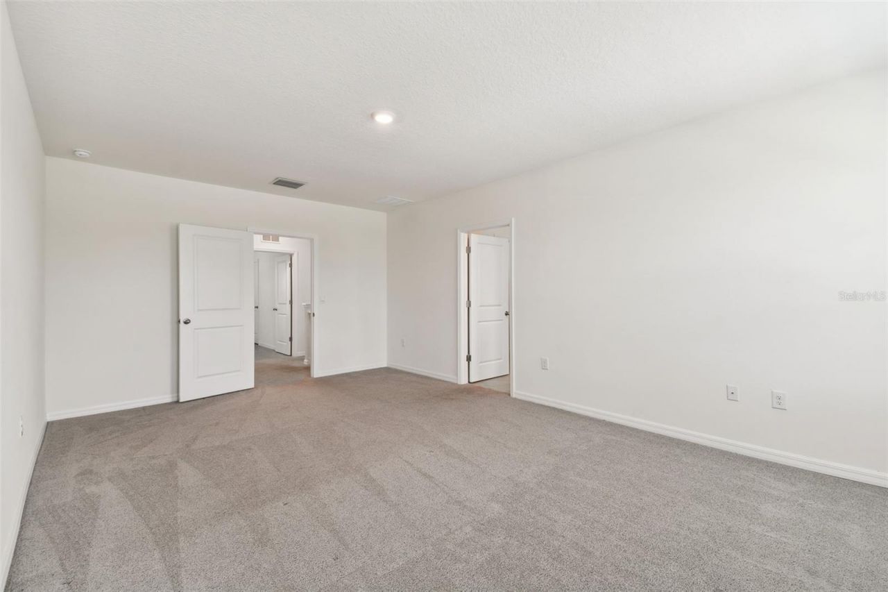 33405 Hamilton Hill Lane, Wesley Chapel, FL 33545 Photo