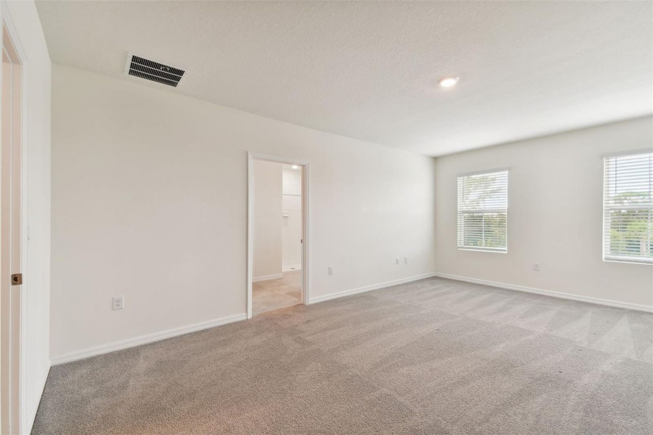 33405 Hamilton Hill Lane, Wesley Chapel, FL 33545 Photo