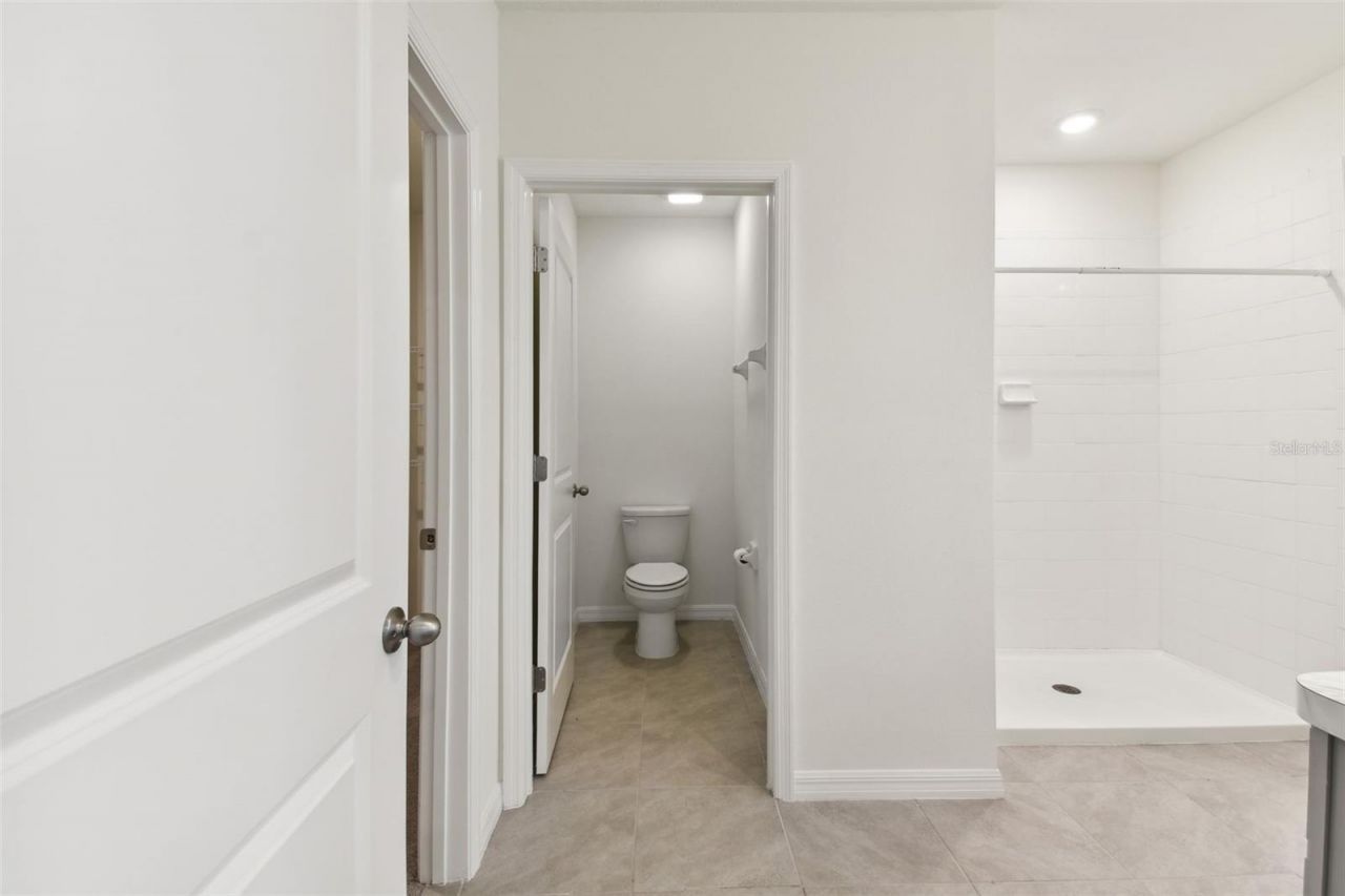 33405 Hamilton Hill Lane, Wesley Chapel, FL 33545 Photo