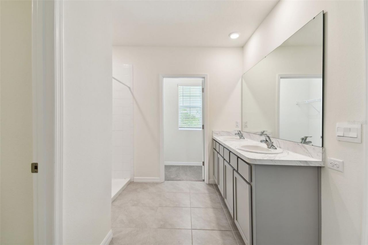 33405 Hamilton Hill Lane, Wesley Chapel, FL 33545 Photo