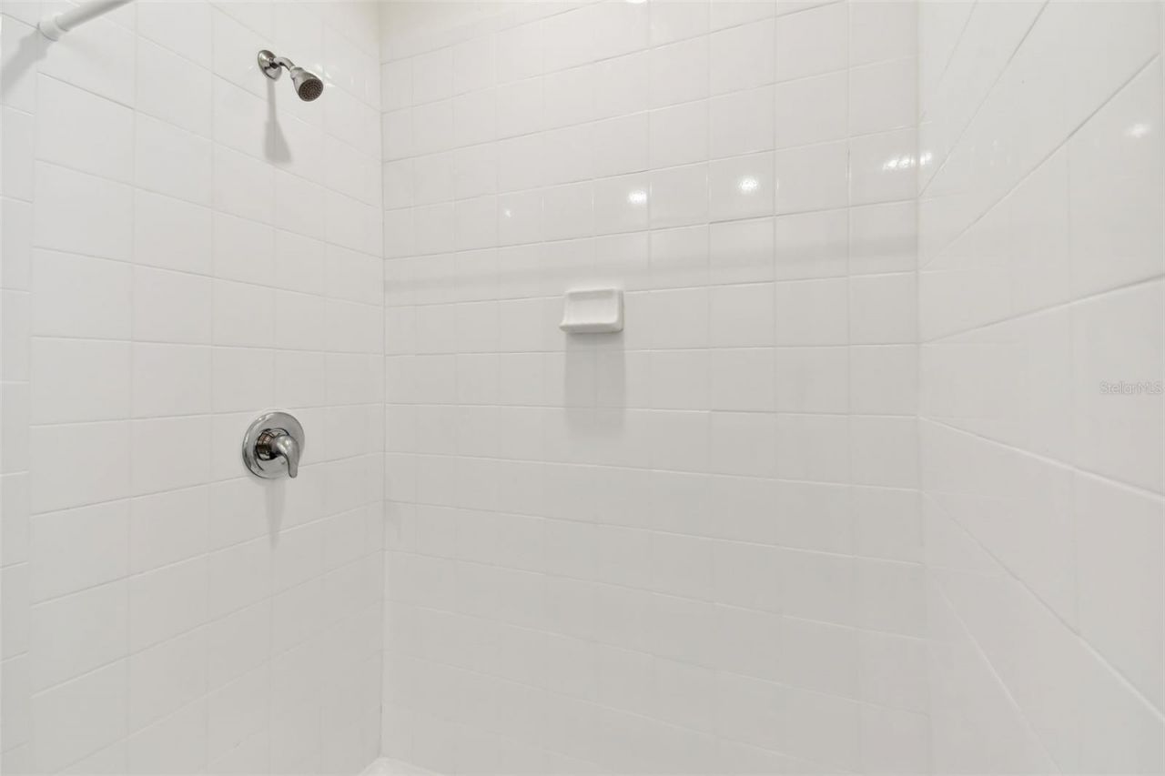 33405 Hamilton Hill Lane, Wesley Chapel, FL 33545 Photo