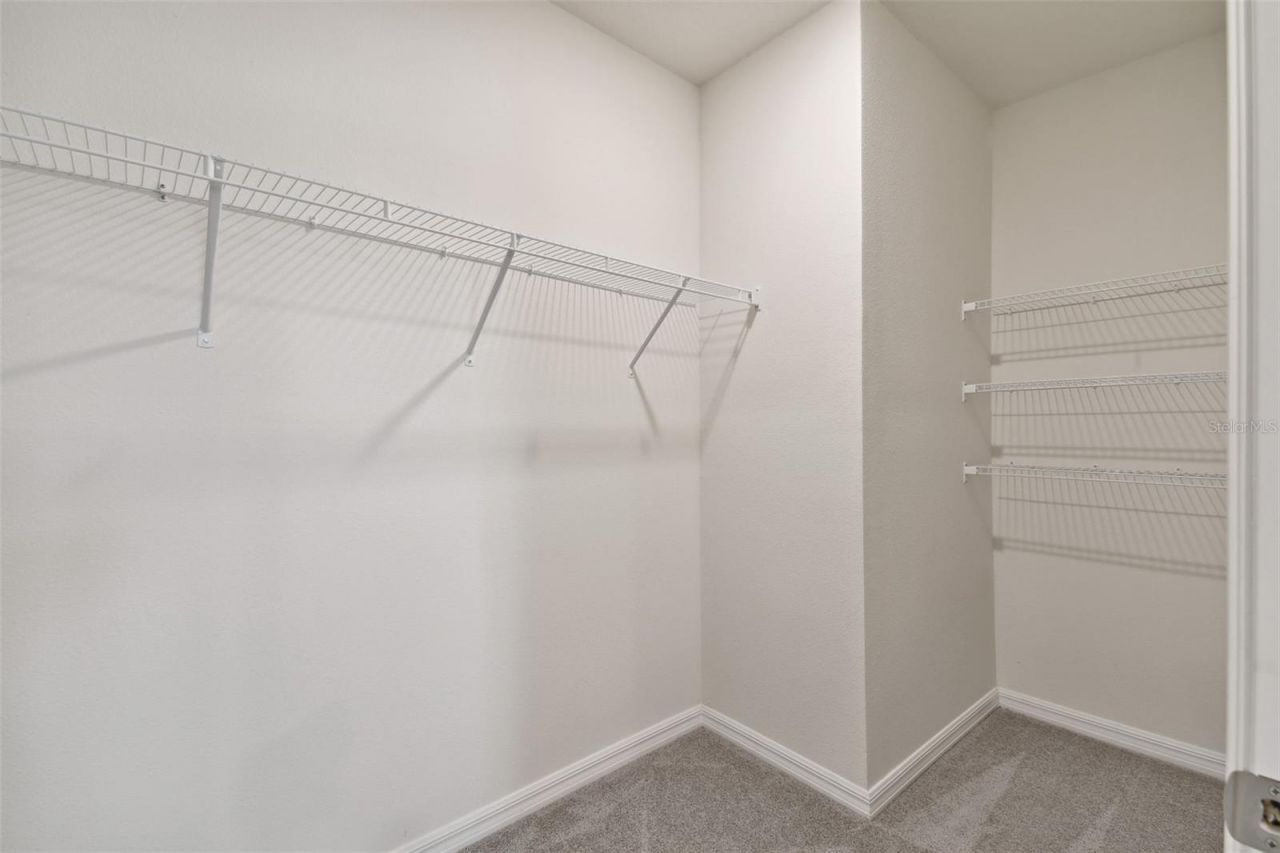 33405 Hamilton Hill Lane, Wesley Chapel, FL 33545 Photo