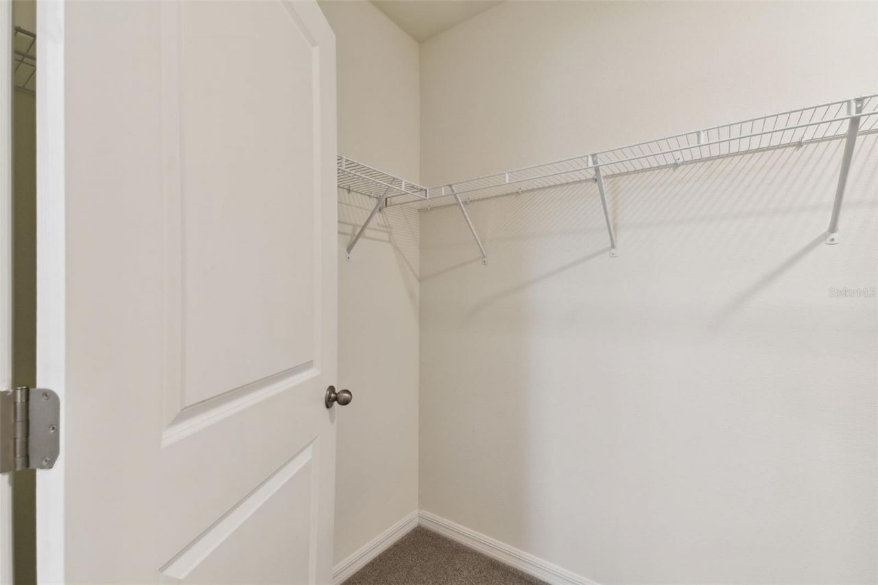 33405 Hamilton Hill Lane, Wesley Chapel, FL 33545 Photo