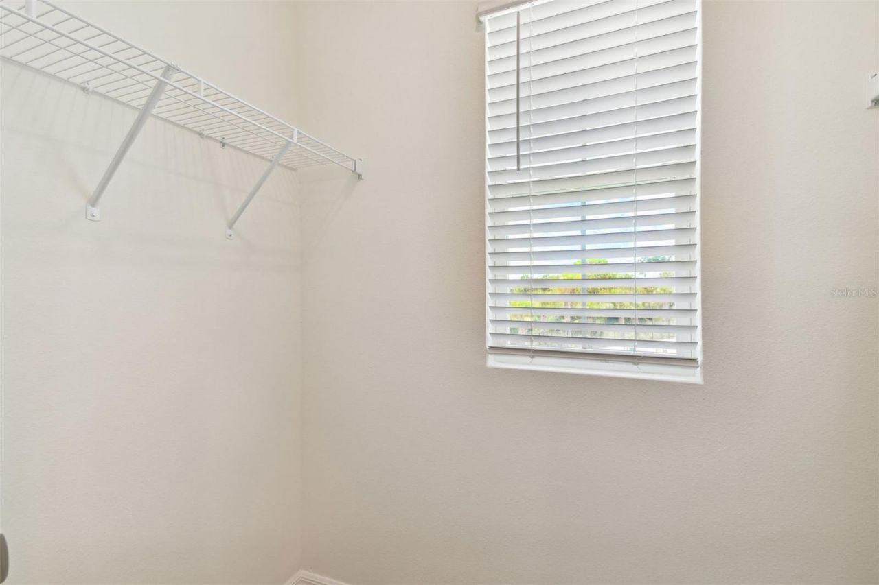 33405 Hamilton Hill Lane, Wesley Chapel, FL 33545 Photo